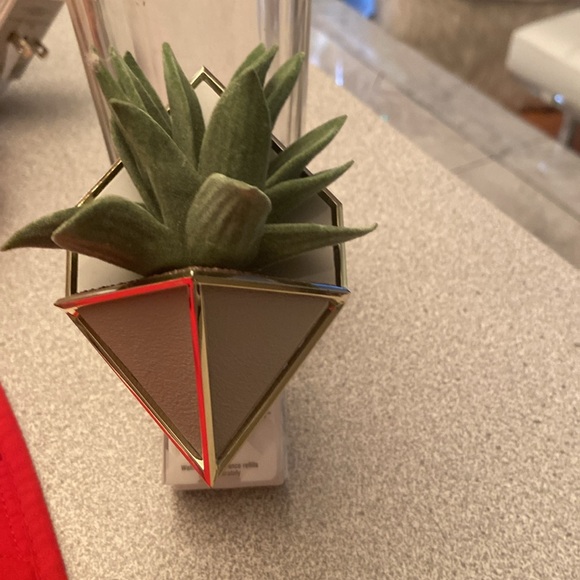 Planter wallflower - Picture 2 of 2